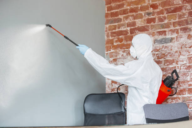 Best HVAC Mold Inspection and Cleaning  in Thiells, NY