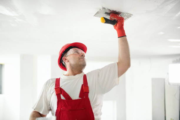 Best Mold Remediation for Healthcare Facilities  in Thiells, NY