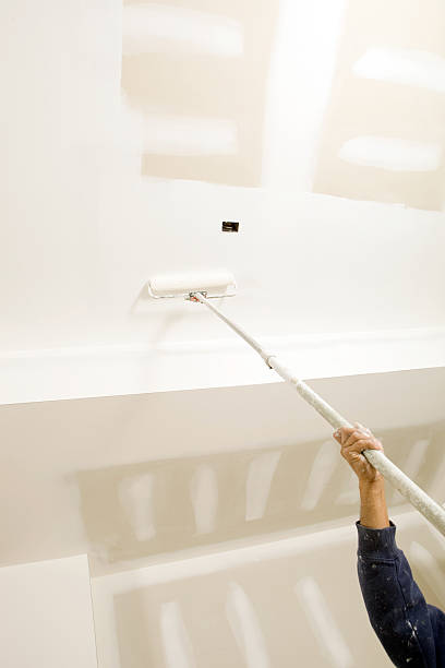 Best Biohazard Mold Removal  in Thiells, NY