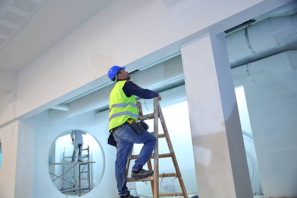 Best Environmental Consulting for Mold Prevention  in Thiells, NY